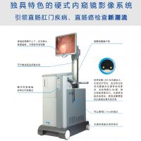 电子直乙肠镜/直肠电子内窥镜